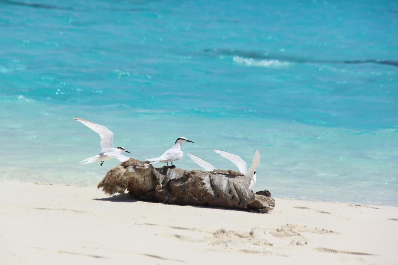 Brickwood Rasdhoo- Beach Front Экстерьер фото